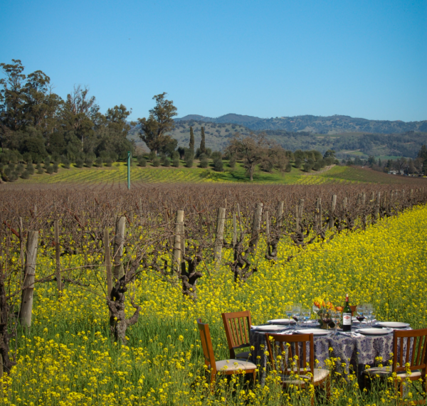 Chef Demonstration: Mustard Flowers